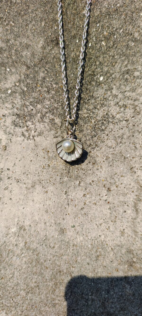 A necklace with a silver chain and a seashell pendant with a pearl.