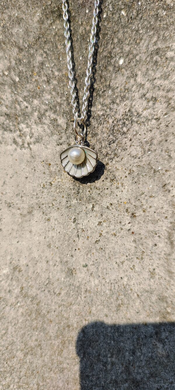 A necklace with a silver chain and a seashell pendant with a pearl.